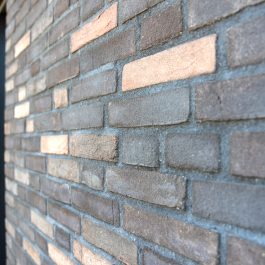 StoneCycling || Positive Mind Shift at Mmousse Future House in The Netherlands