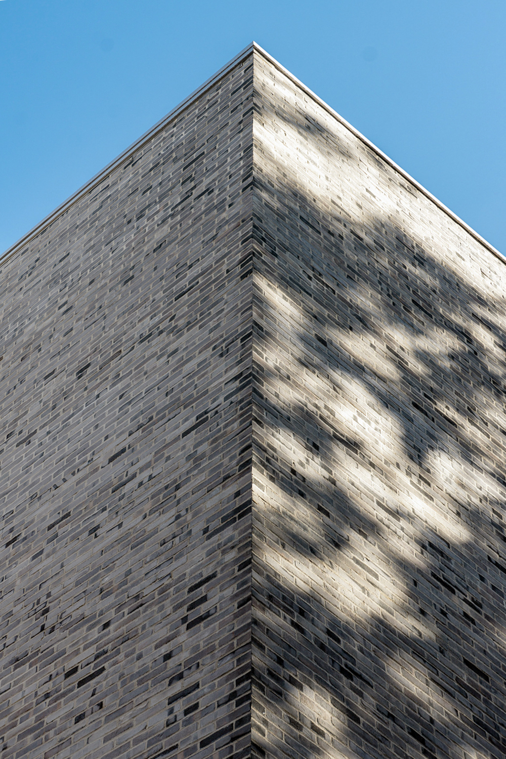 StoneCycling || Technique in London, UK