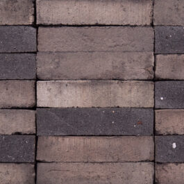 Mushroom Punched + Sliced - StoneCycling