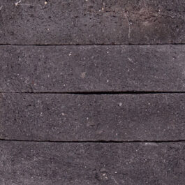 Mushroom Sliced - StoneCycling