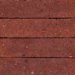 Radish Sliced - StoneCycling