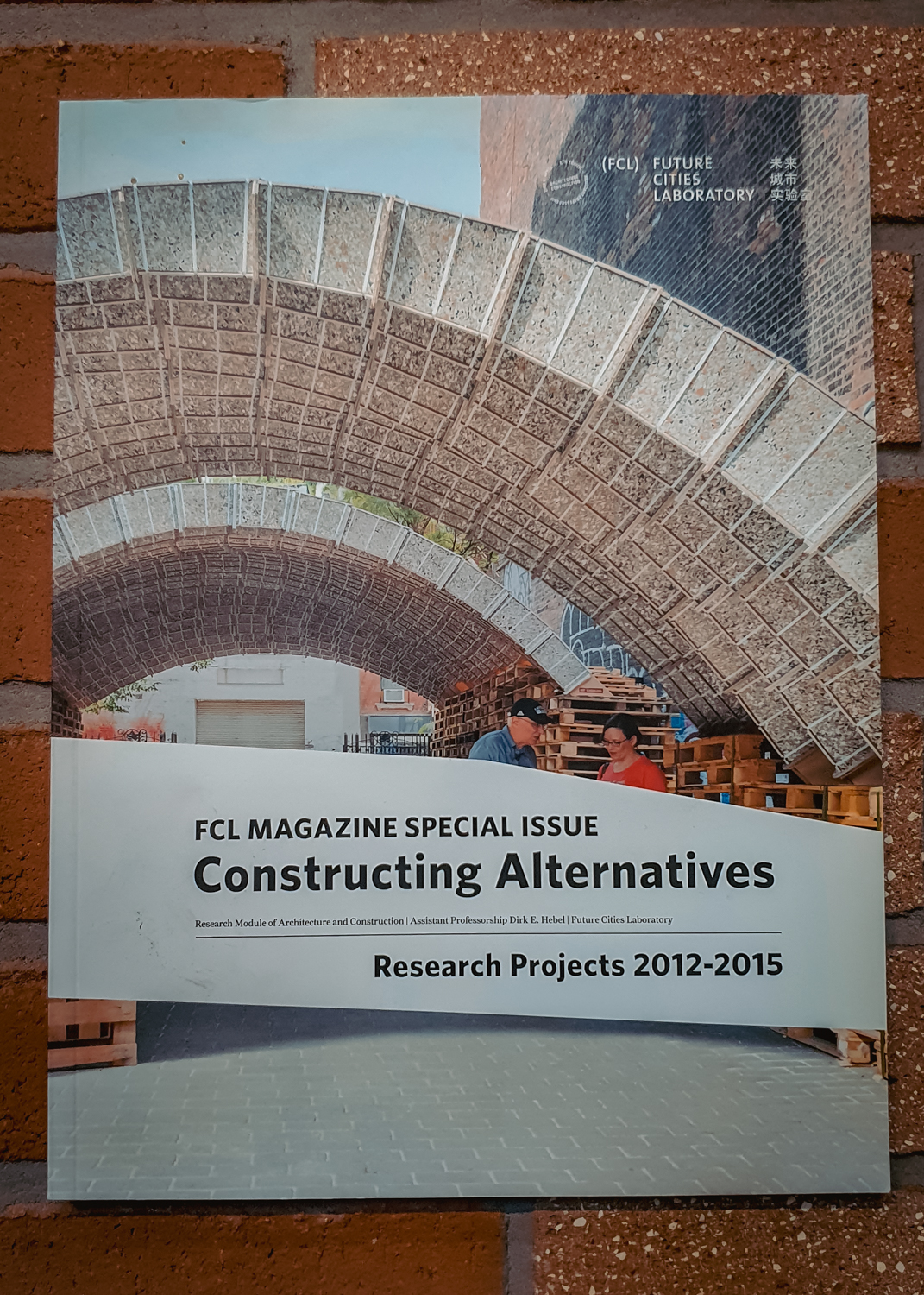 FCL Magazine Special Issue - Constructing Alternatives