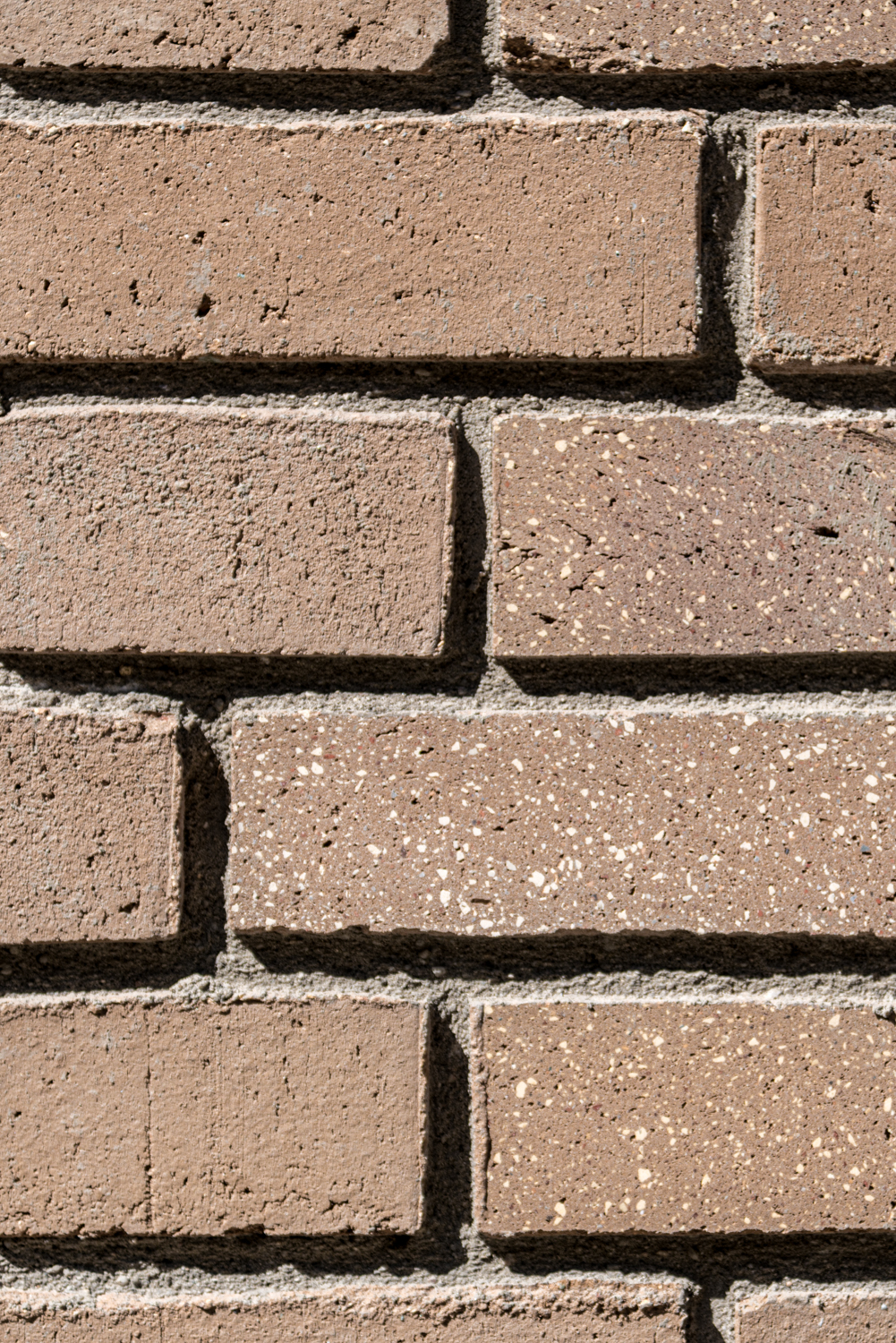 House Made of Waste in Rotterdam - WasteBasedBricks® Scoop! || StoneCycling