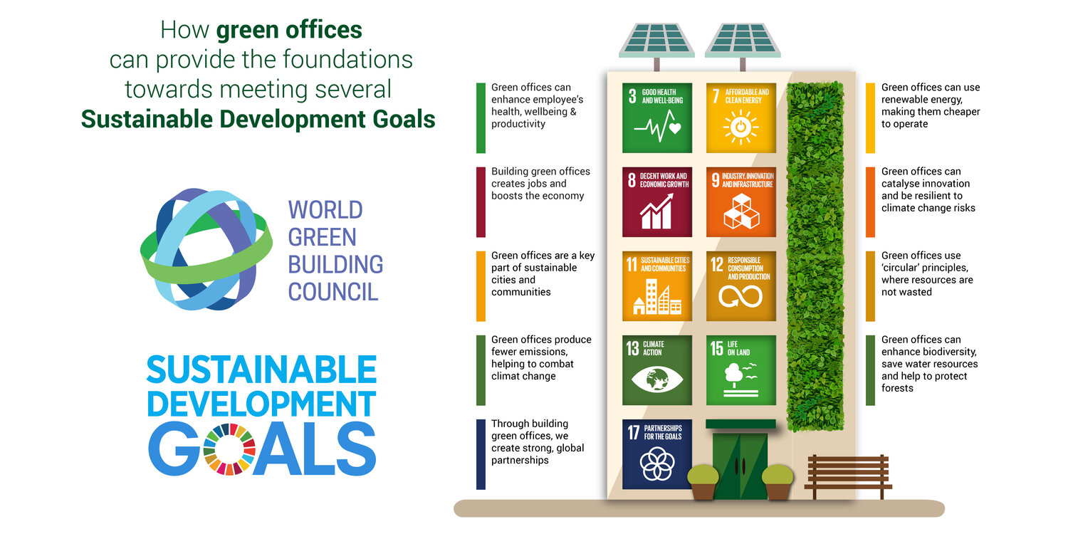 Sustainability in Construction: What We Build Today Will Be Our Emissions Legacy || StoneCycling