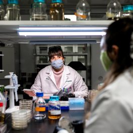 StoneCycling + Biomason BioBasedTile Process