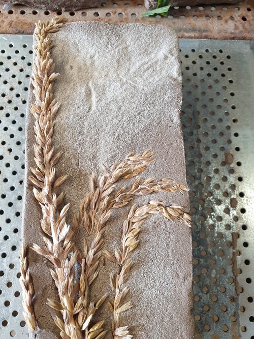 The Importance of Research and Development with Playfulness