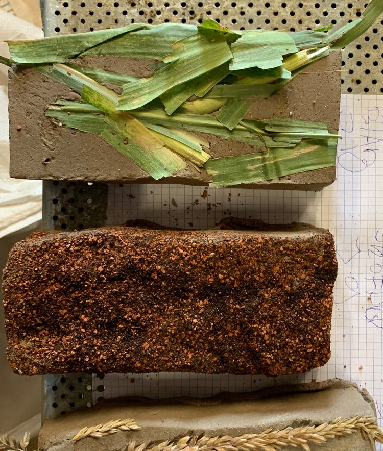 The Importance of Research and Development with Playfulness