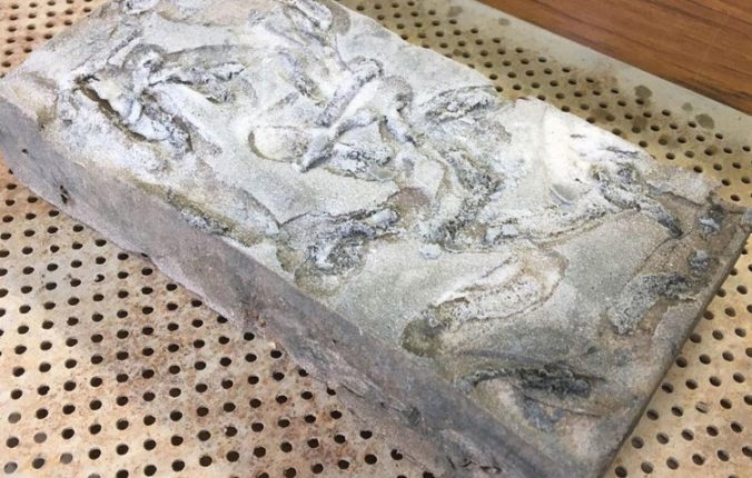 Update From the StoneCycling Flight Deck