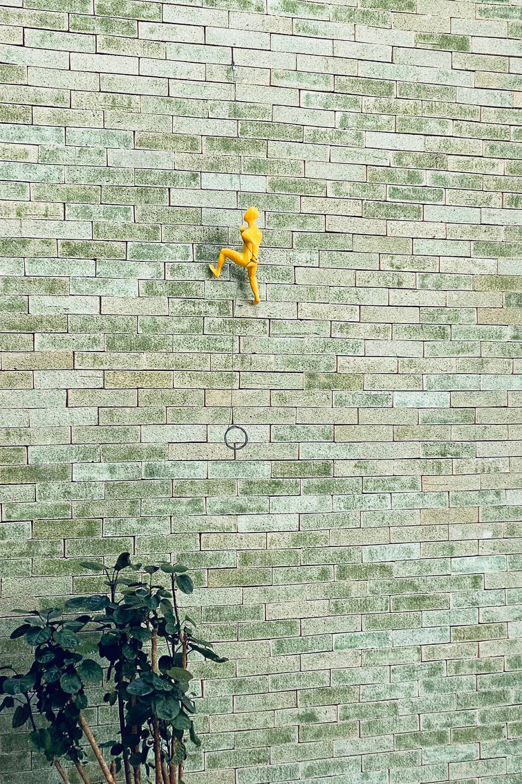 Wasabi Walls in Venlo, The Netherlands