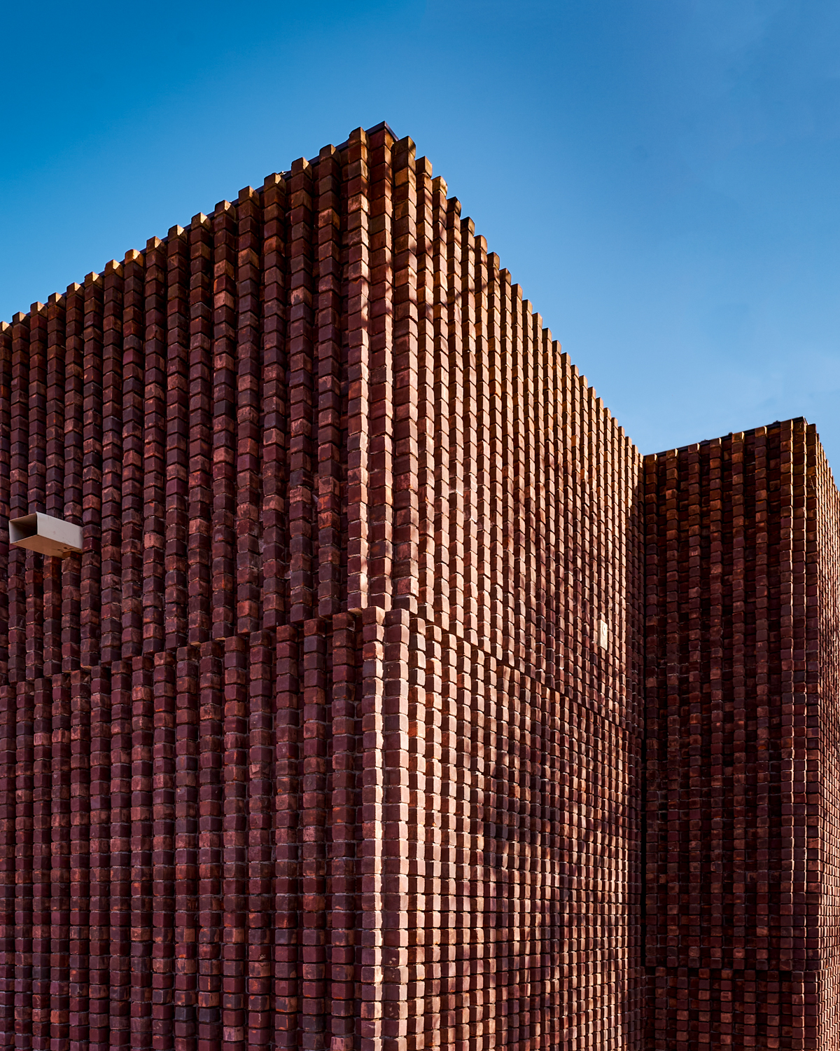 Natuur Inclusief Paviljoen voor Universiteit Leiden