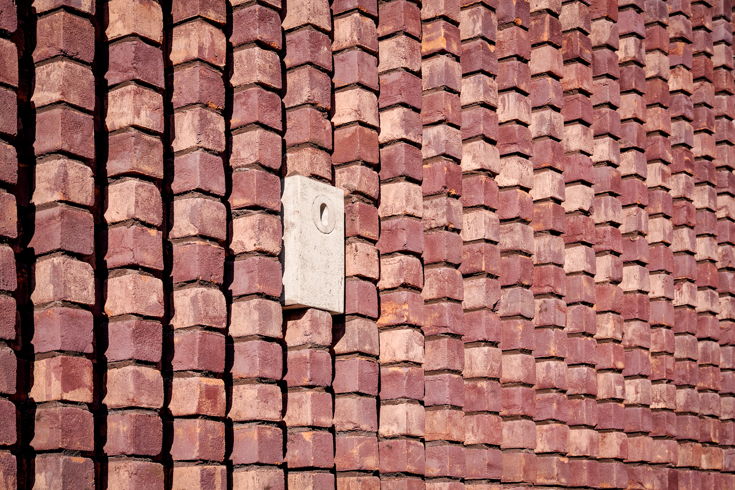 Natuur Inclusief Paviljoen voor Universiteit Leiden