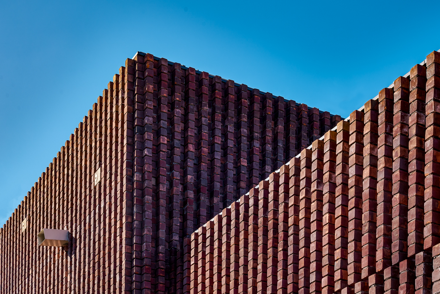 Natuur Inclusief Paviljoen voor Universiteit Leiden