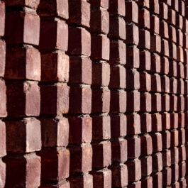 Natuur Inclusief Paviljoen voor Universiteit Leiden