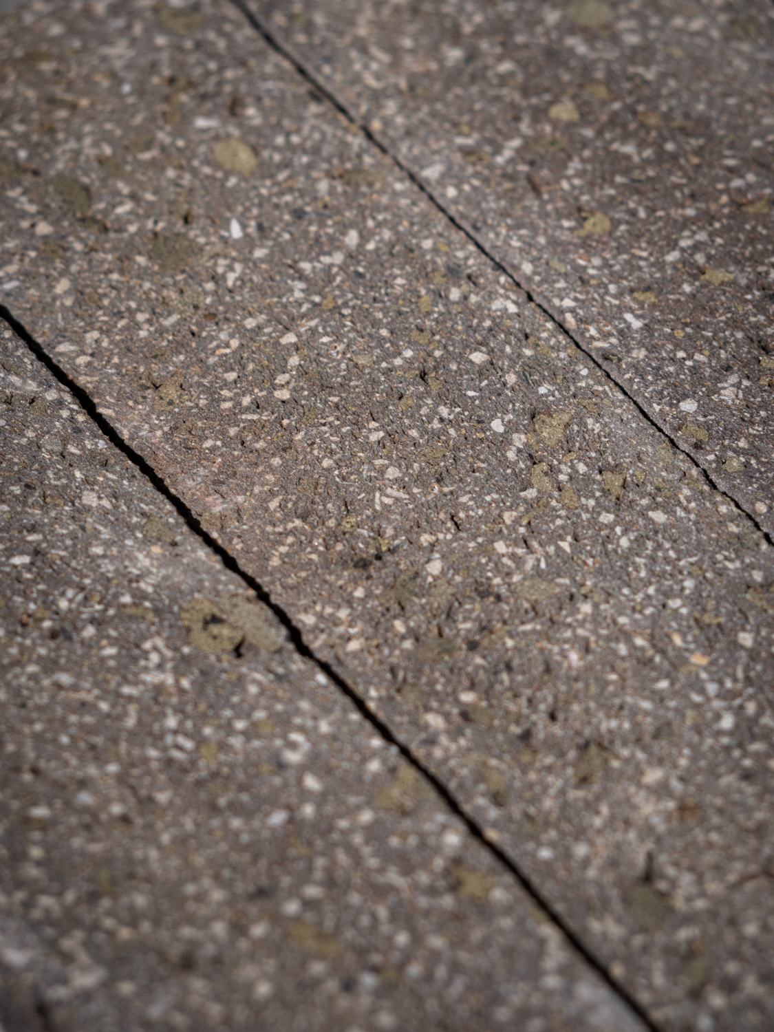 Using Waste from Donor Buildings - A Bespoke Development with StoneCycling