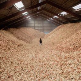 Productie van CornWall® StoneCycling X Circular Matters