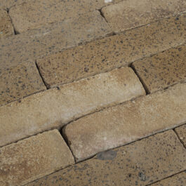 #T005 - Curry Raw & Sliced WasteBasedSlips®