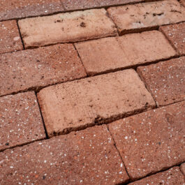 #T023 Orange Klezoor (1/4 Brick) Punched & Sliced WasteBasedSlips®