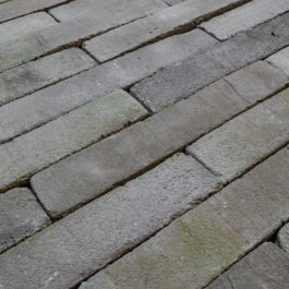 #T006 - Pistachio 5Tracks Raw WasteBasedSlips® 