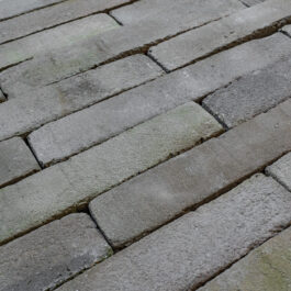 #T006 - Pistachio 5Tracks Raw WasteBasedSlips® 