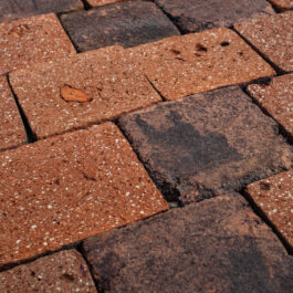 #T001 - Radish L-Type Raw & Sliced WasteBasedSlips®