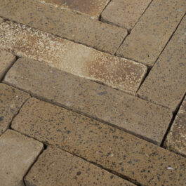 #T005 - Curry Raw & Sliced WasteBasedSlips®