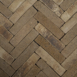 #T005 - Curry Raw & Sliced WasteBasedSlips®