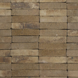 #T005 - Curry Raw & Sliced WasteBasedSlips®