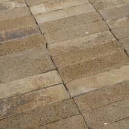 #T005 - Curry Raw & Sliced WasteBasedSlips®