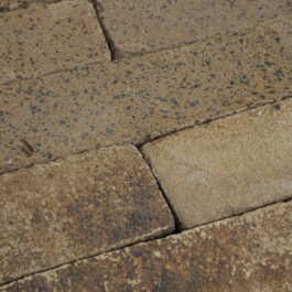 #T005 - Curry Raw & Sliced WasteBasedSlips®