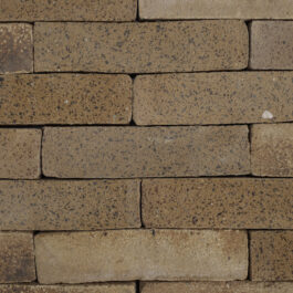 #T005 - Curry Raw & Sliced WasteBasedSlips®