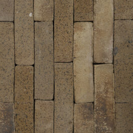 #T005 - Curry Raw & Sliced WasteBasedSlips®