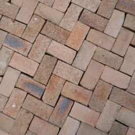 #T011 - Nougat Raw & Sliced WasteBasedSlips®