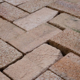 #T011 - Nougat Raw & Sliced WasteBasedSlips®