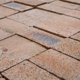 #T011 - Nougat Raw & Sliced WasteBasedSlips®