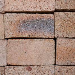 #T011 - Nougat Raw & Sliced WasteBasedSlips®