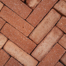 #T024 Orange Drieklezoor (3/4 Baksteen) Punched & Sliced WasteBasedSlips®