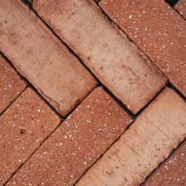 #T024 Orange Drieklezoor (3/4 Baksteen) Punched & Sliced WasteBasedSlips®