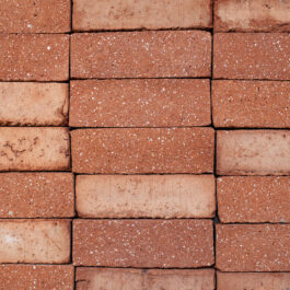 #T024 Orange Drieklezoor (3/4 Baksteen) Punched & Sliced WasteBasedSlips®