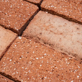 #T024 Orange Drieklezoor (3/4 Baksteen) Punched & Sliced WasteBasedSlips®