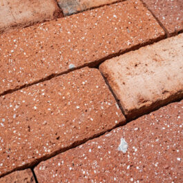 #T024 Orange Drieklezoor (3/4 Baksteen) Punched & Sliced WasteBasedSlips®