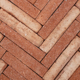 #T025 Orange Long Punched & Sliced WasteBasedSlips®