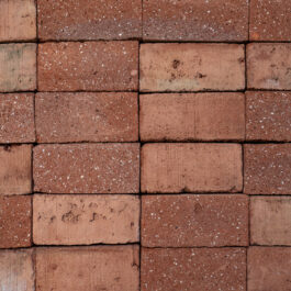 #T023 Orange Klezoor (1/4 Baksteen) Punched & Sliced WasteBasedSlips®