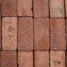 #T023 Orange Klezoor (1/4 Baksteen) Punched & Sliced WasteBasedSlips®