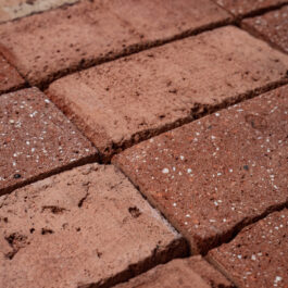 #T023 Orange Klezoor (1/4 Baksteen) Punched & Sliced WasteBasedSlips®