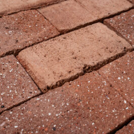 #T023 Orange Klezoor (1/4 Baksteen) Punched & Sliced WasteBasedSlips®