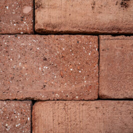 #T023 Orange Klezoor (1/4 Baksteen) Punched & Sliced WasteBasedSlips®