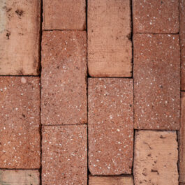 #T023 Orange Klezoor (1/4 Baksteen) Punched & Sliced WasteBasedSlips®