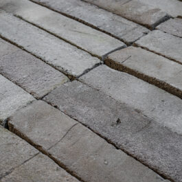 #T006 - Pistachio 5Tracks Raw WasteBasedSlips® 