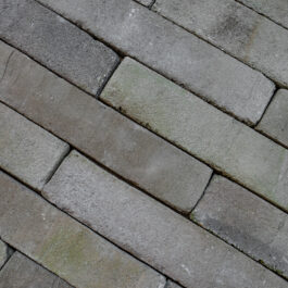 #T006 - Pistachio 5Tracks Raw WasteBasedSlips® 