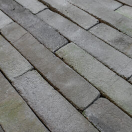 #T006 - Pistachio 5Tracks Raw WasteBasedSlips® 